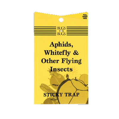 Bugs4Bugs Sticky Fly Trap (Yellow)